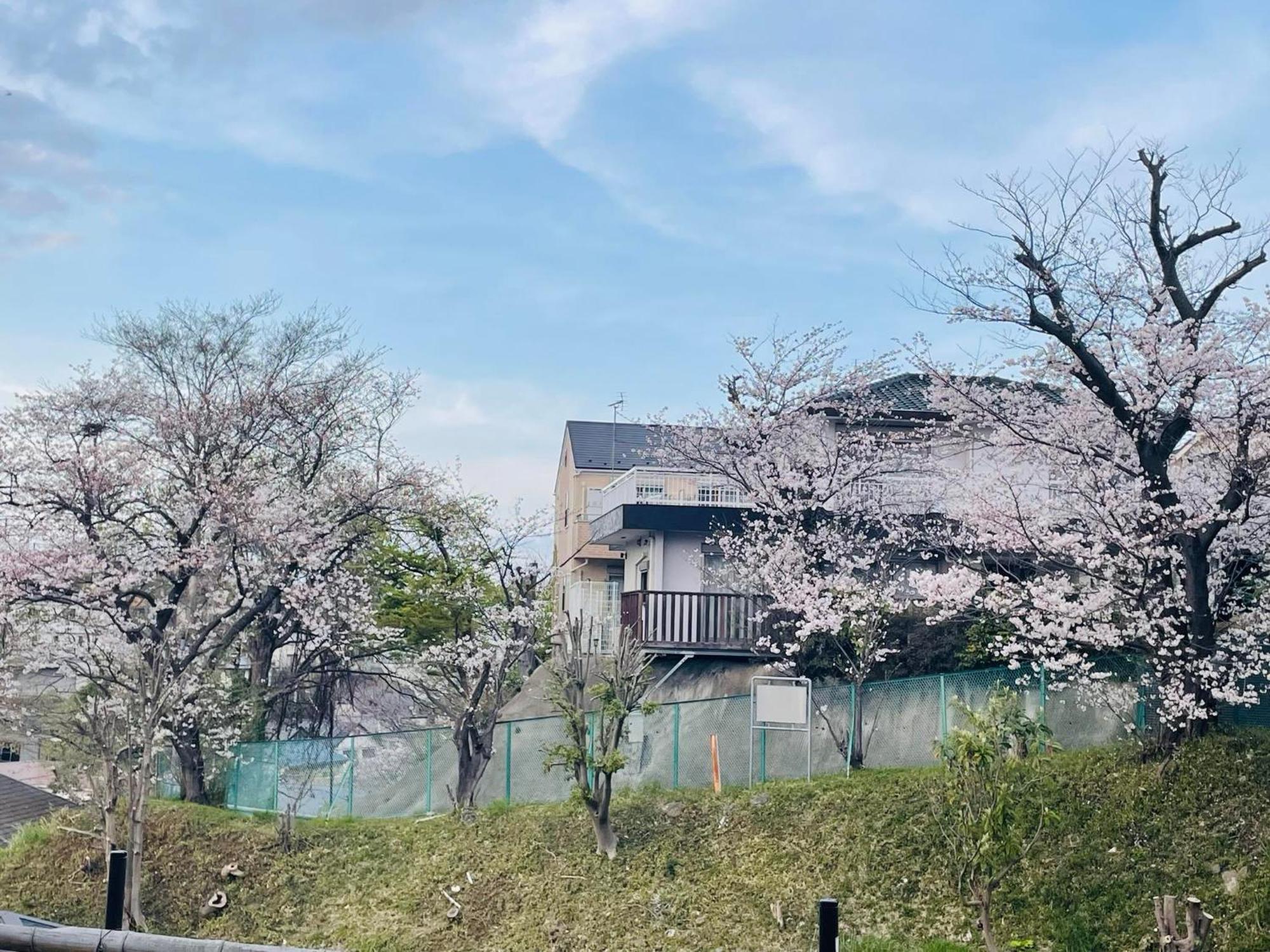 ソフィアハウス横浜 -女性専用シェアハウス- Sopfia House Yokohama For Women Only Shared House Hotel Exterior foto
